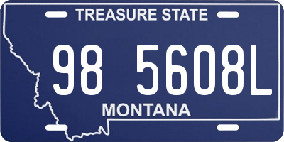 MT license plate 985608L
