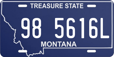 MT license plate 985616L