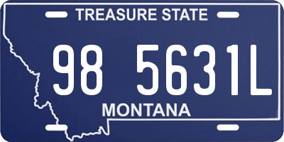 MT license plate 985631L