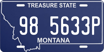 MT license plate 985633P
