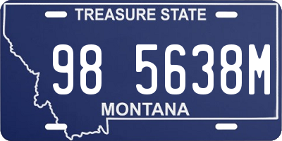 MT license plate 985638M