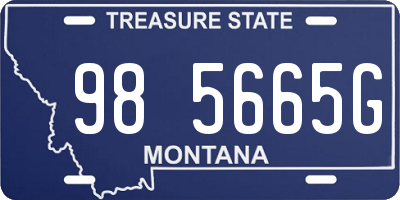 MT license plate 985665G