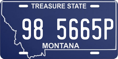 MT license plate 985665P