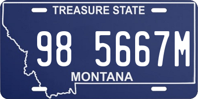 MT license plate 985667M