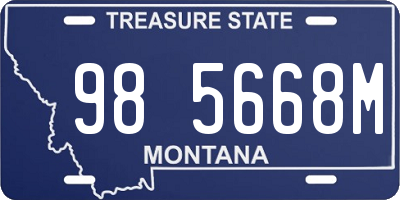 MT license plate 985668M