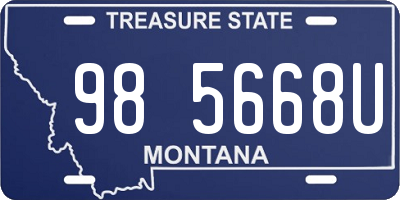 MT license plate 985668U
