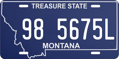 MT license plate 985675L