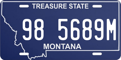 MT license plate 985689M