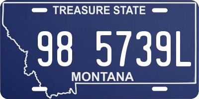 MT license plate 985739L