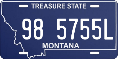 MT license plate 985755L