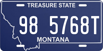 MT license plate 985768T