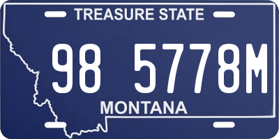 MT license plate 985778M