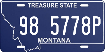 MT license plate 985778P