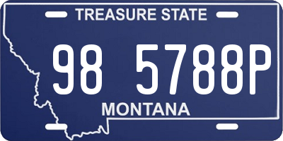 MT license plate 985788P