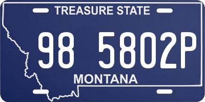 MT license plate 985802P
