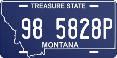 MT license plate 985828P