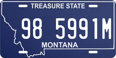 MT license plate 985991M