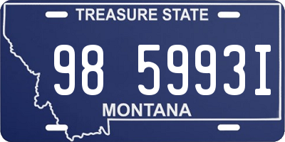 MT license plate 985993I