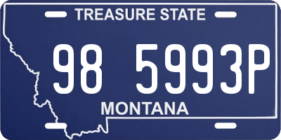 MT license plate 985993P