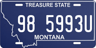 MT license plate 985993U