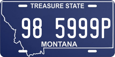 MT license plate 985999P
