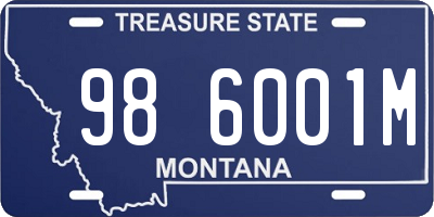 MT license plate 986001M
