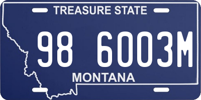 MT license plate 986003M
