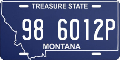 MT license plate 986012P
