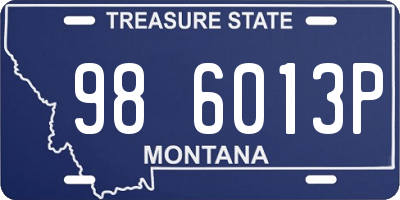 MT license plate 986013P