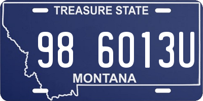 MT license plate 986013U