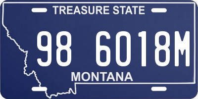 MT license plate 986018M