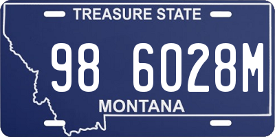 MT license plate 986028M