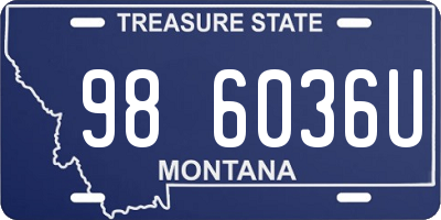 MT license plate 986036U
