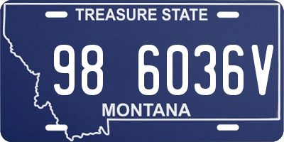 MT license plate 986036V