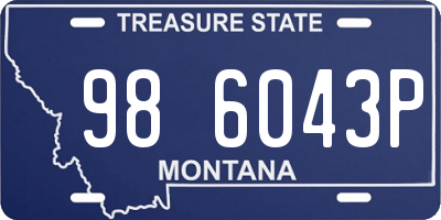 MT license plate 986043P