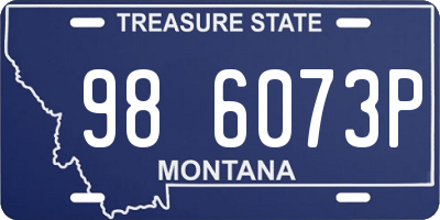 MT license plate 986073P