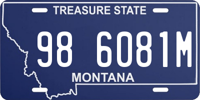 MT license plate 986081M