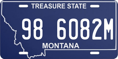 MT license plate 986082M