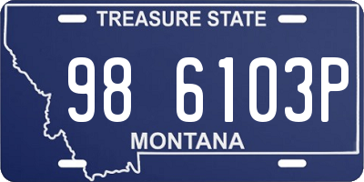 MT license plate 986103P