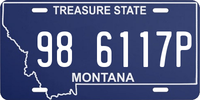 MT license plate 986117P
