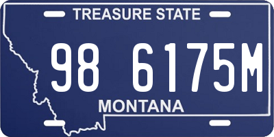 MT license plate 986175M