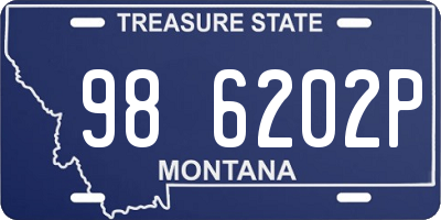 MT license plate 986202P