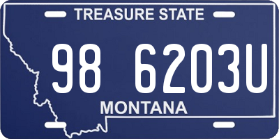 MT license plate 986203U