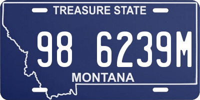 MT license plate 986239M