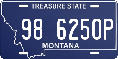 MT license plate 986250P