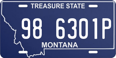 MT license plate 986301P