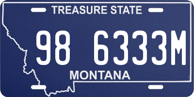MT license plate 986333M