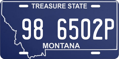 MT license plate 986502P