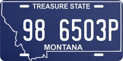 MT license plate 986503P