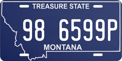 MT license plate 986599P